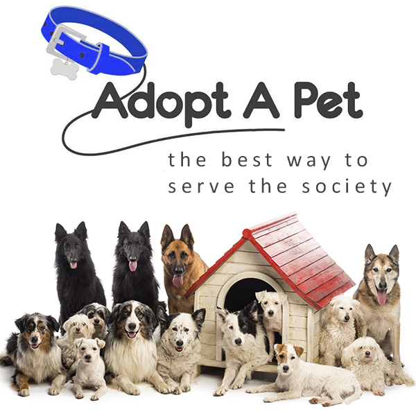 Pet-adoption