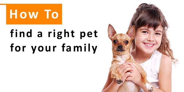 How to Find the Right Pet for Your Family