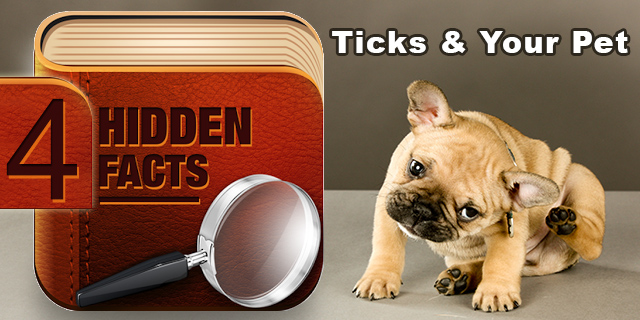 Facts about Ticks and Your Pet