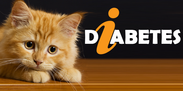 CVE_info-Diabetes-cats