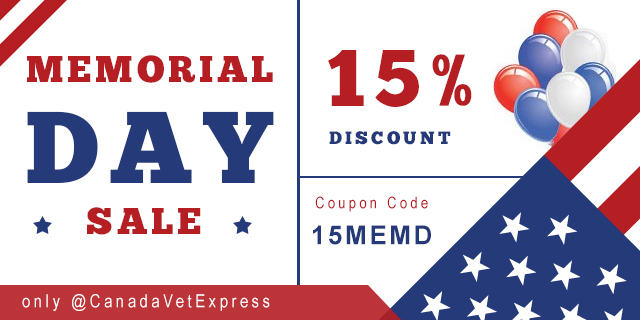 Memorial Day - 15% Discount