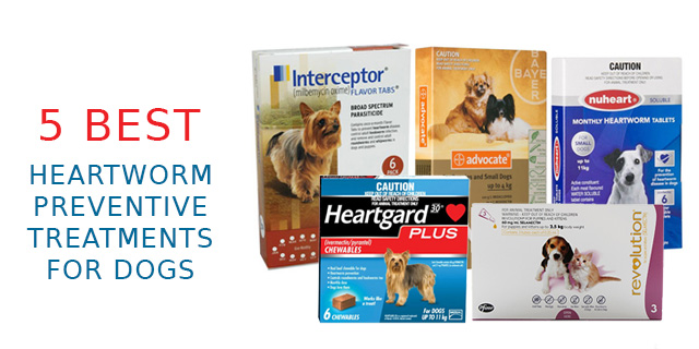 Heartworm Prevention For Dogs Buy Heartworm Prevention For Dogs Online