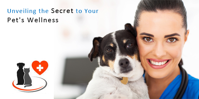 Unveiling the Secret to Your Pet's Wellness