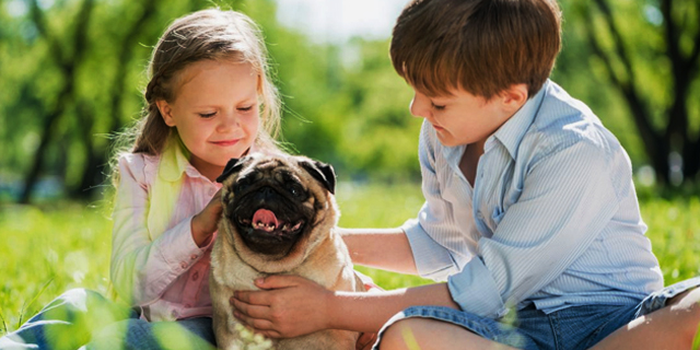 Benefits of Owning a Pet for Kids