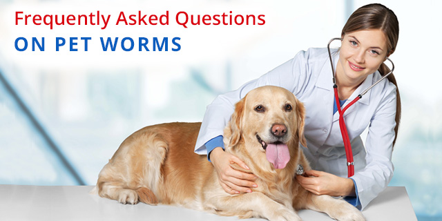 Dogs worms FAQ
