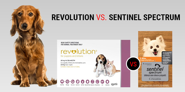 Revolution-vs-Sentinel-Spectrum