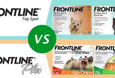 CVE-Frontline-Top-Spot-Vs-Frontline-Plus
