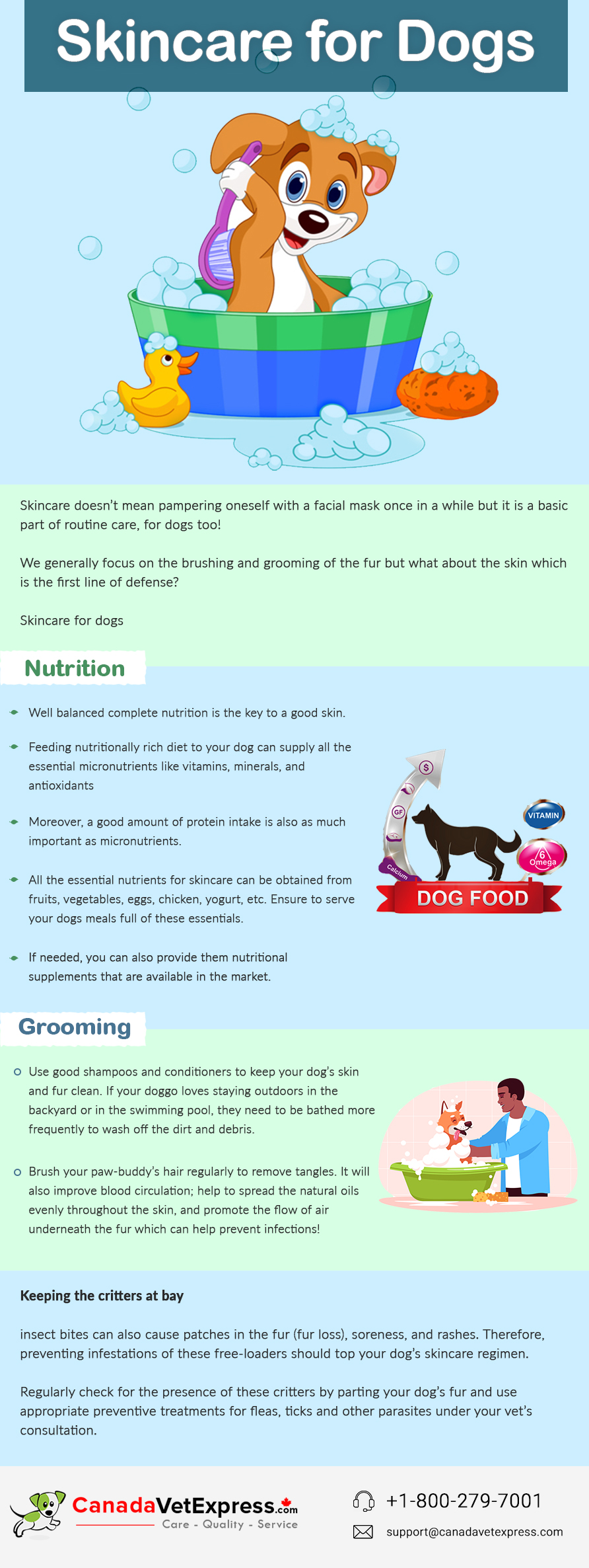 Skincare for dogs