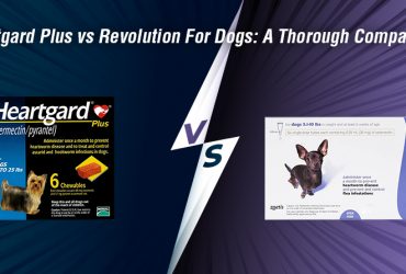 Heartgard Plus vs Revolution For Dogs
