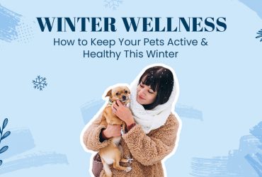 Winter Pet Wellness How to Keep Your Pets Active & Healthy