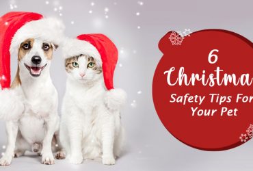 Christmas-Safety-Tips