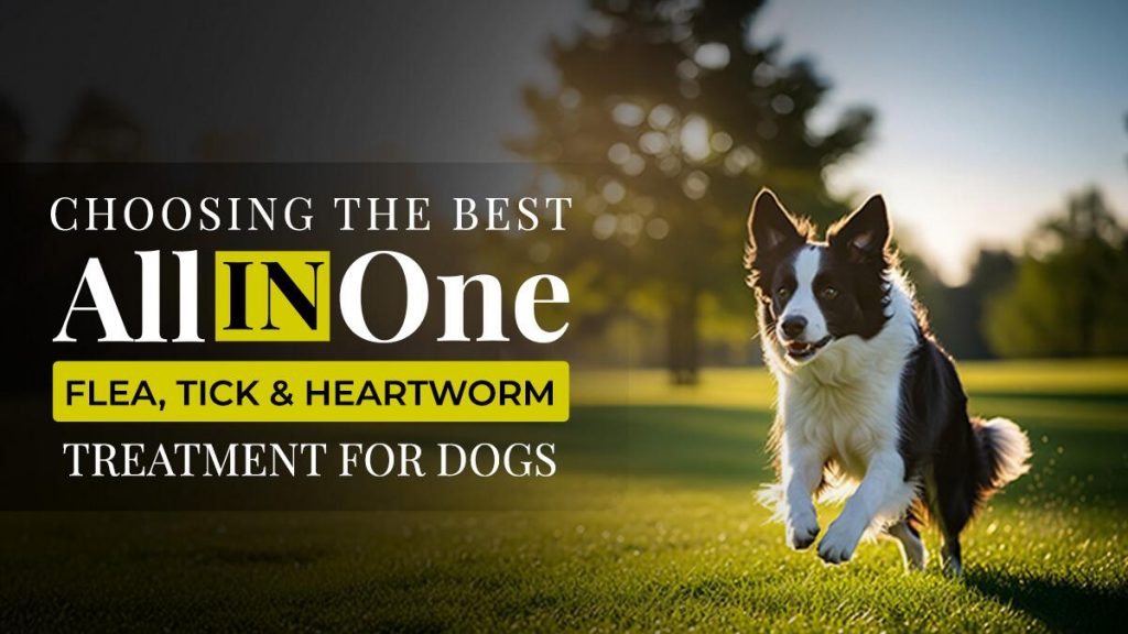 Best All-in-One Flea, Tick & Heartworm Treatment for Dogs