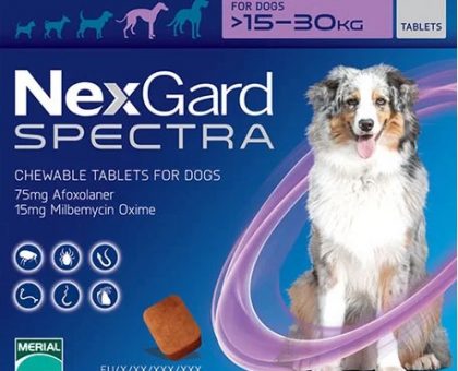 Nexgard Spectra Chewable Tablets for Large Dogs (Purple)