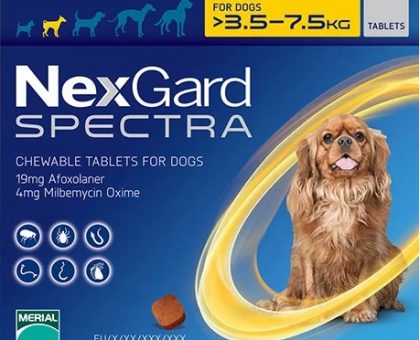 Nexgard Spectra Chewable Tablets for Small Dogs (Yellow)