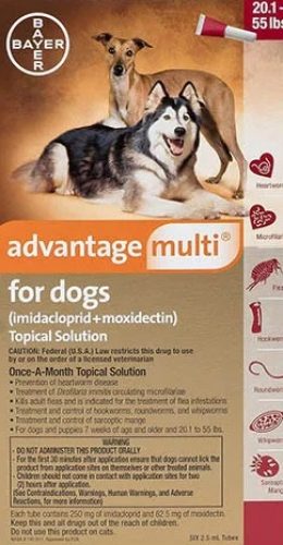 advantage-multi-advocate-large-dogs-red