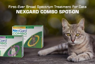 Nexgard combo spot on for cats