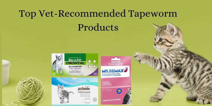 Top Vet-Recommended-Tapeworm-Products