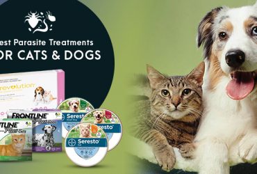 alt= " Best Parasite Treatments for Cats & Dogs"