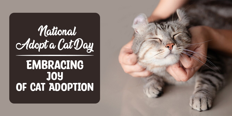 National-Adopt-a-cat-month