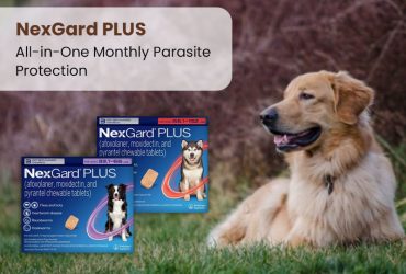 NexGard-Plus-All-in-One-Monthly-Parasite-Protection