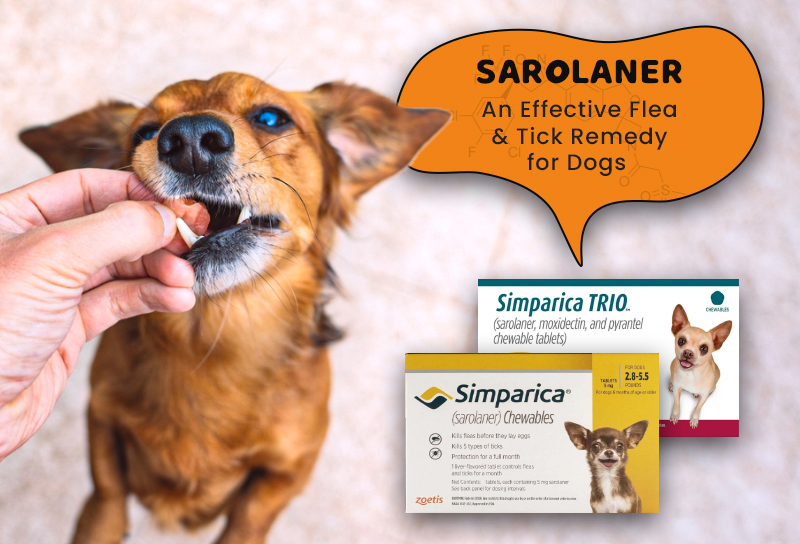 Sarolaner for dog