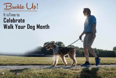 Walk-your-pet-month