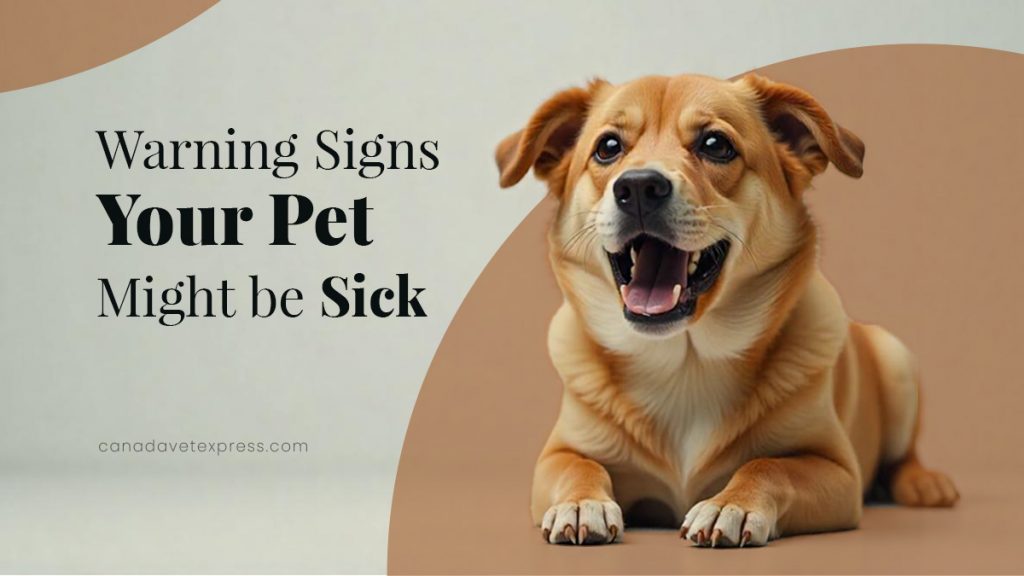 Warning Signs of Pet Sickness