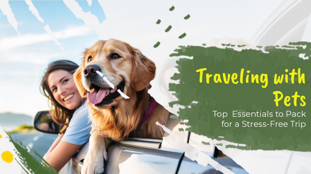 Traveling with Pets: Top Essentials to Pack for a Stress-Free Trip