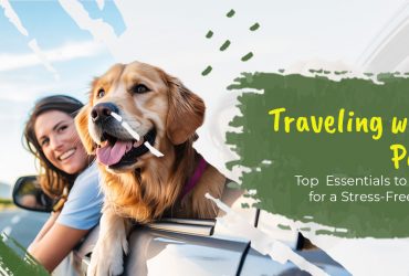 Traveling with Pets: Top Essentials to Pack for a Stress-Free Trip