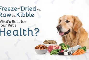 Freeze-Dried vs Raw vs Kibble Which Diet Is Best for Pets