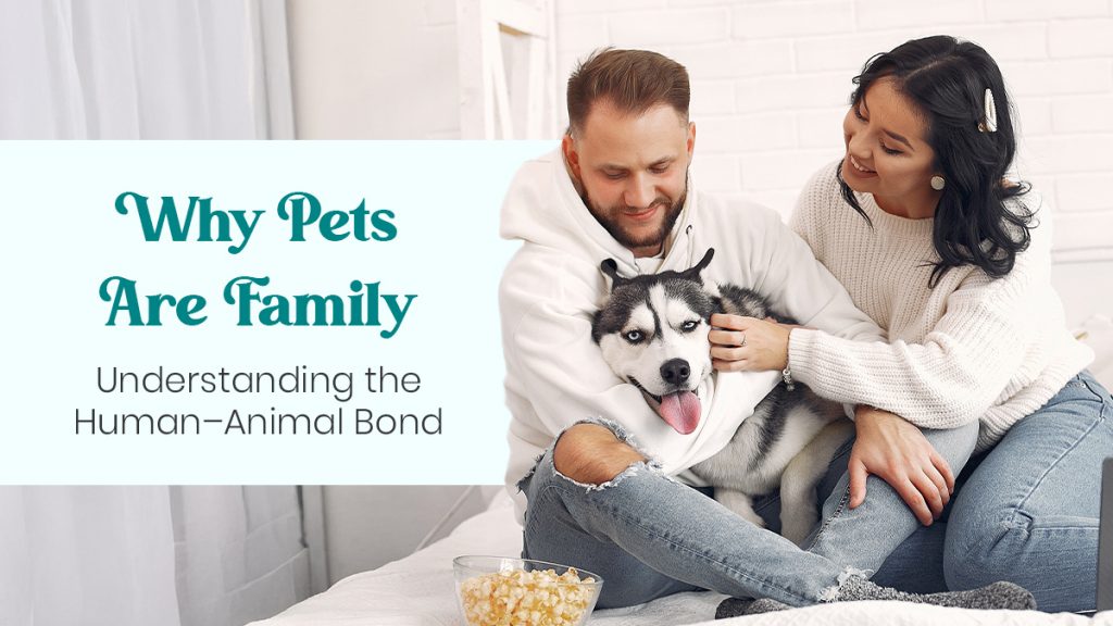 Why Pets Are Family Understanding the Human–Animal Bond