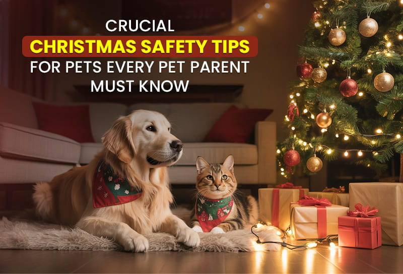 5 Crucial Christmas Safety Tips for Pets Every Pet Parent Must Know
