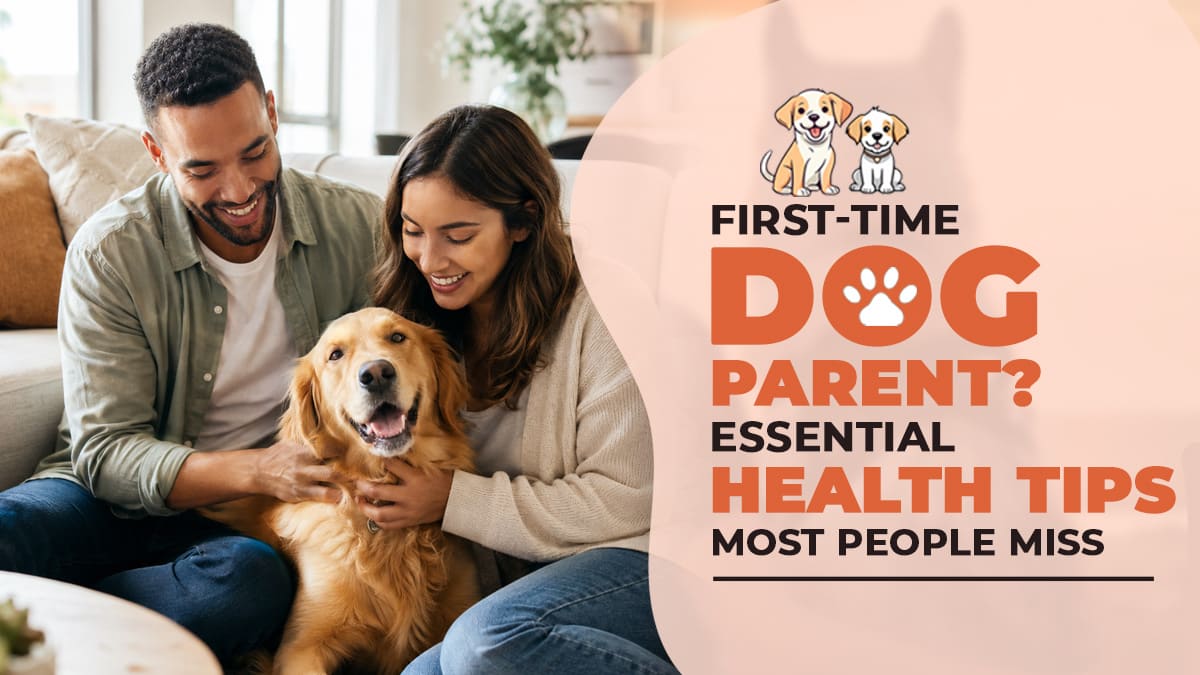First-Time Dog Parent? Essential Health Tips Most People Miss