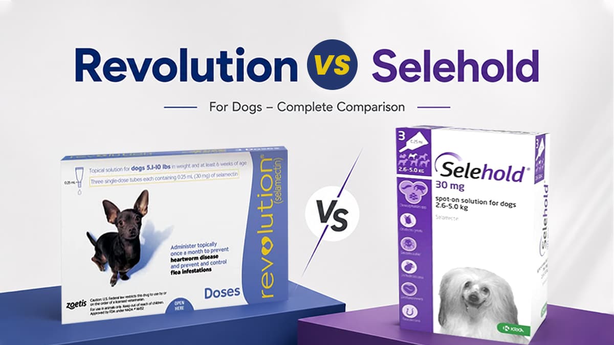 Revolution vs Selehold for Dogs – Complete Comparison