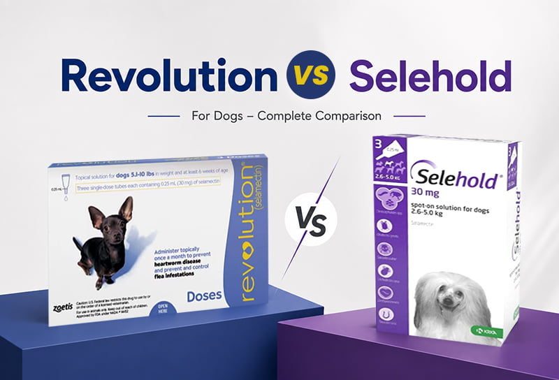 Revolution vs Selehold for Dogs – Complete Comparison