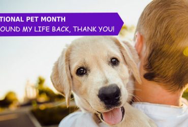 NATIONAL-PET-MONTH