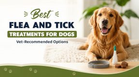 Top Vet-Recommended Flea and Tick Treatments for Dogs