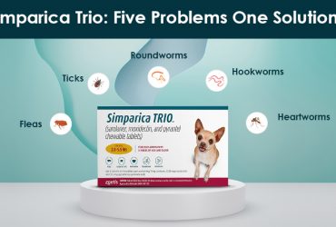 Simparica-Trio-for-Dogs