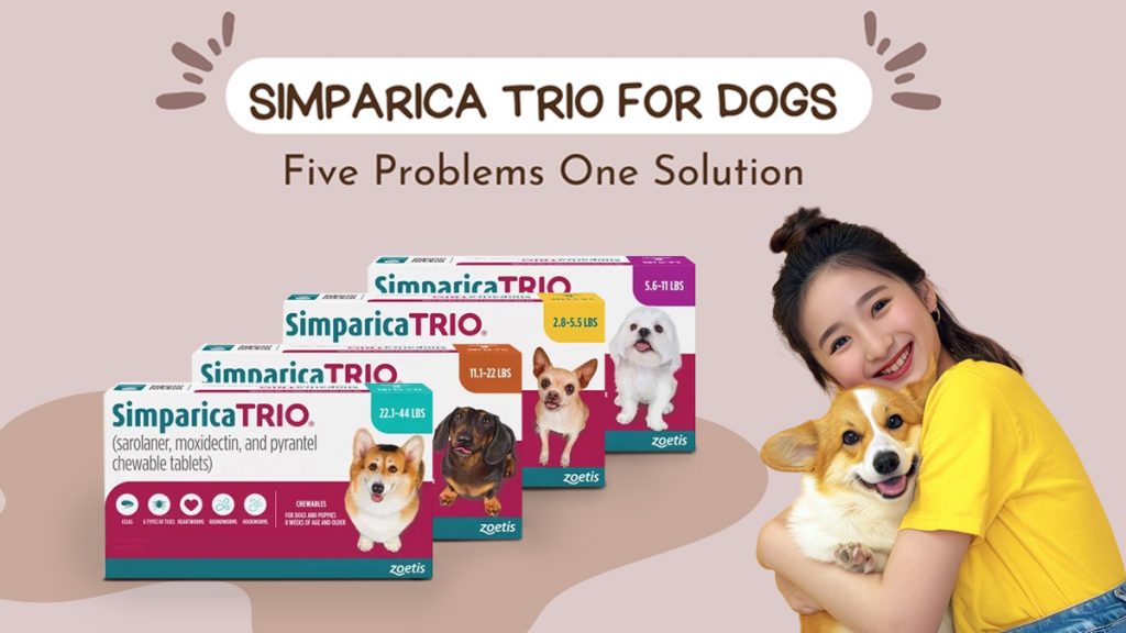 Simparica Trio for Dogs: Benefits, Parasite Protection & FAQs