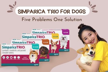 Simparica Trio for Dogs: Benefits, Parasite Protection & FAQs
