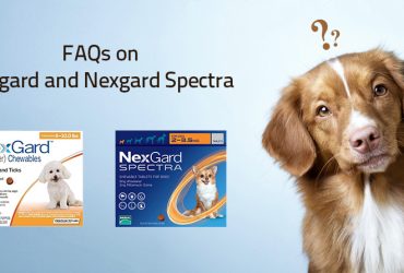 FAQs-on-Nexgard-and-Nexgard-Spectra-CanadaVetexpress