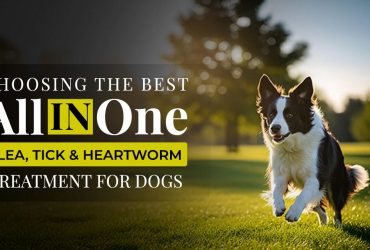 Best All-in-One Flea, Tick & Heartworm Treatment for Dogs