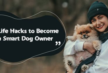 smart dog owner life hacks