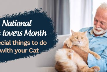 National Cat Month