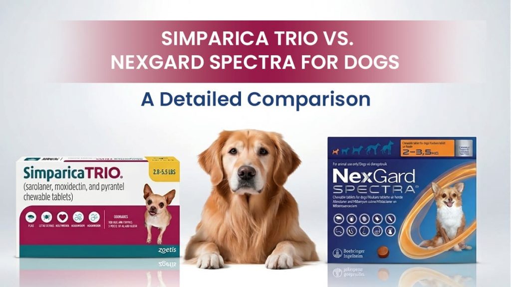 Simparica Trio vs NexGard Spectra: Which Is Better?