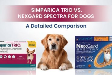 Simparica Trio vs NexGard Spectra: Which Is Better?