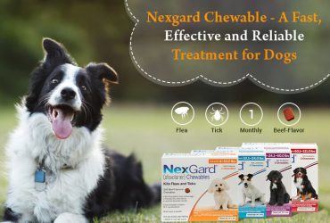 nexgard-chewable-a-fast-effective-and-reliable-treatment-for-dogs