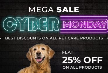 Cyber-Monday-Sale