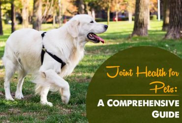 Joint-Health-Your-Pet