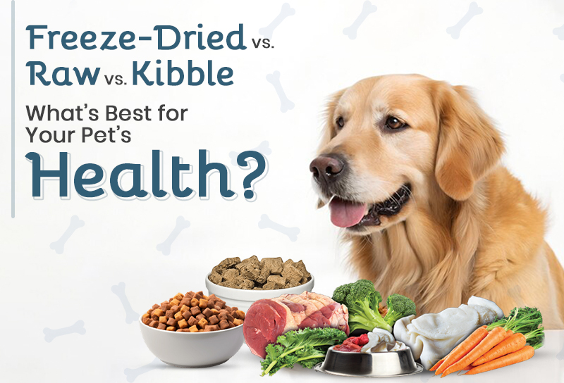 Freeze-Dried vs Raw vs Kibble: What’s Best for Your Pet’s Health?